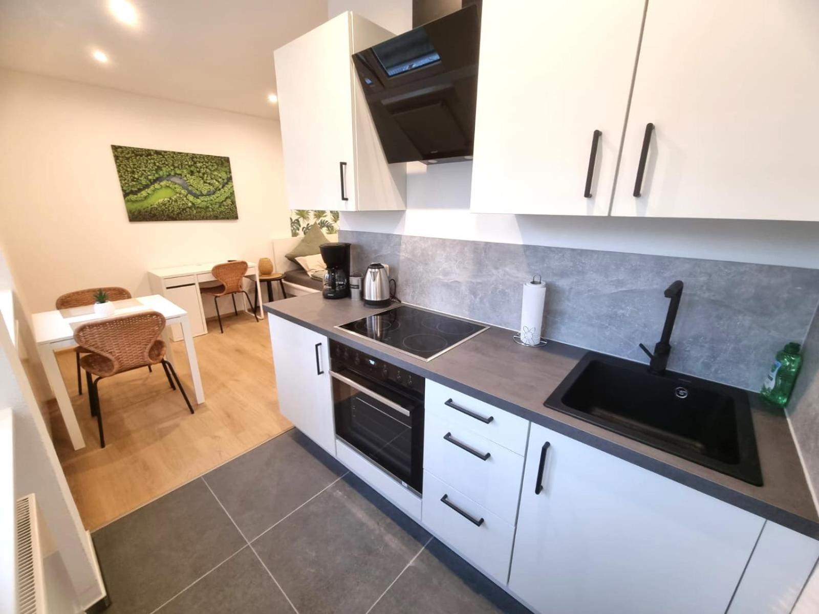Wohnung Inn - Im Zentrum, Kueche, Parkplatz, Ruhig Gelegen Passau Dış mekan fotoğraf